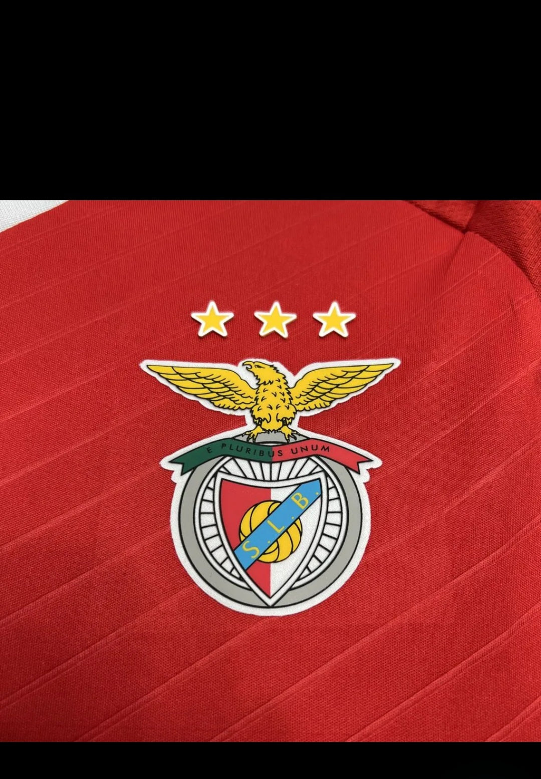 Benfica 2024/2025