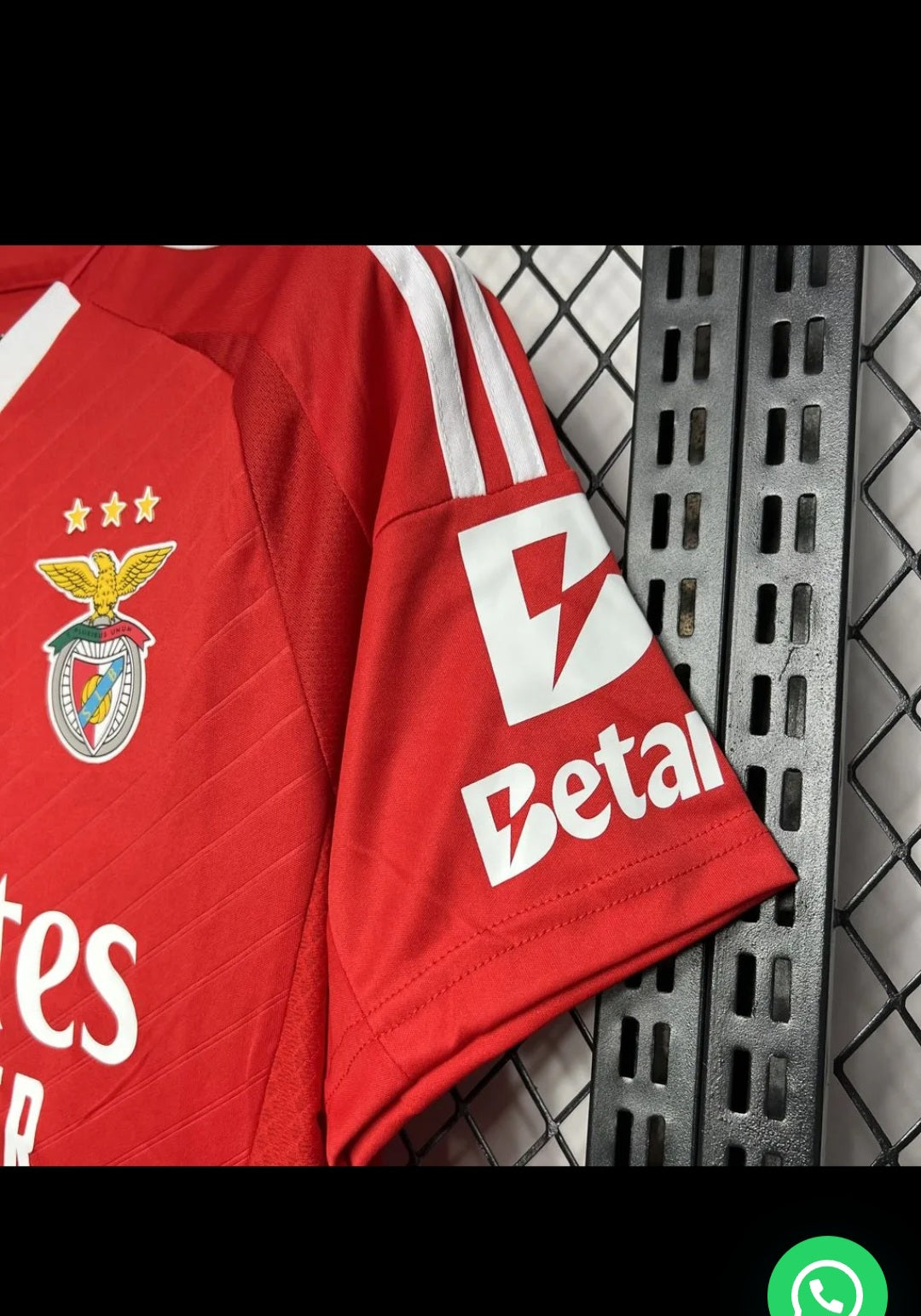 Benfica 2024/2025